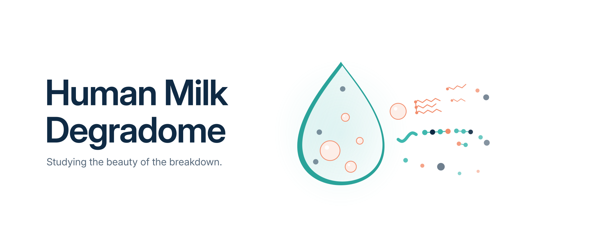 Human Milk Degradome graphic: a milk droplet breaking down into lipids, fatty acids and peptides, with the tagline Studying the beauty of the breakdown.